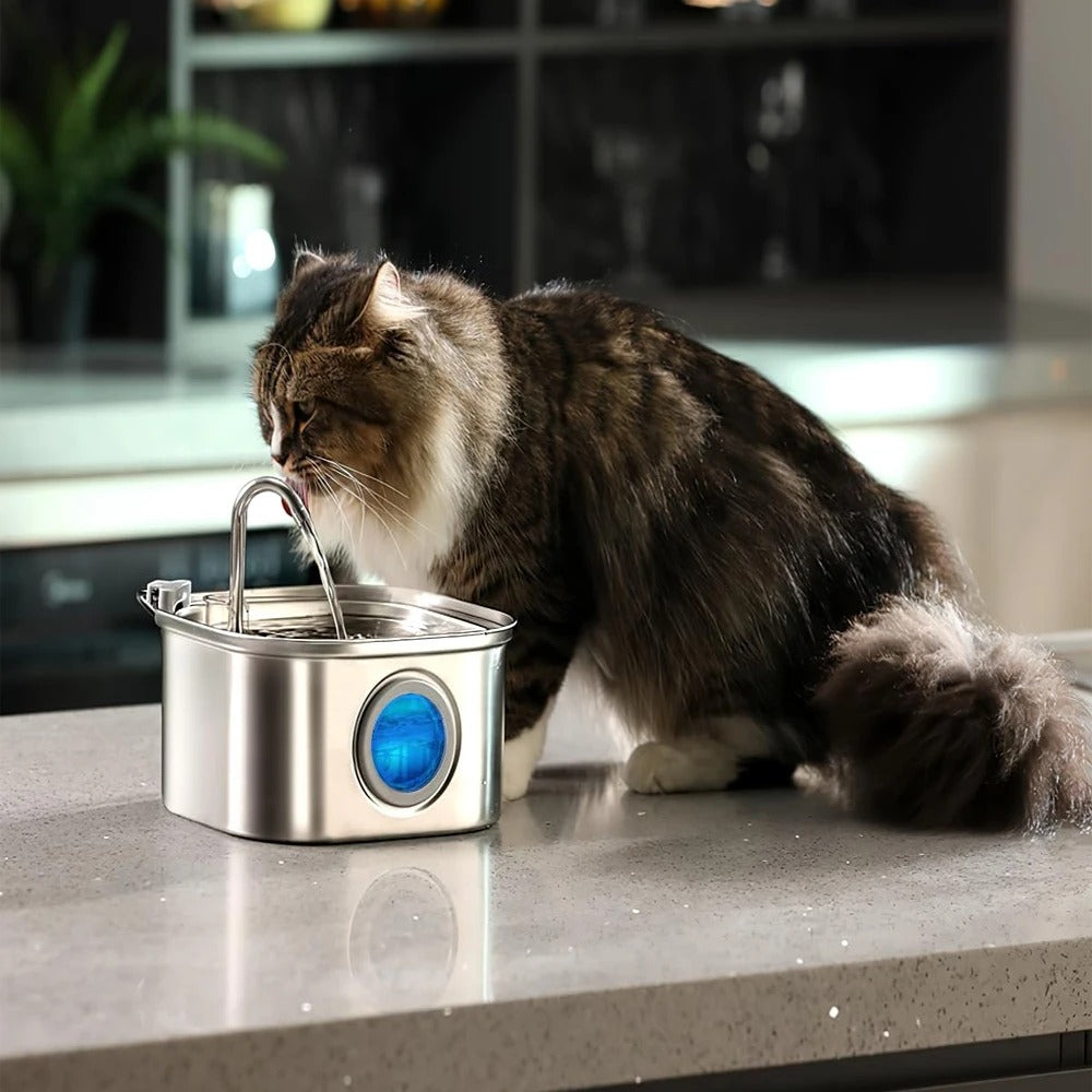 3.2L Stainless Steel Automatic Pet Water Feeder