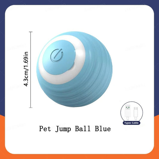 Smart Ball- Dog Toy