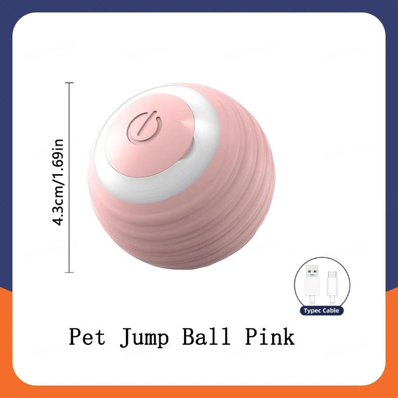 Smart Ball- Dog Toy