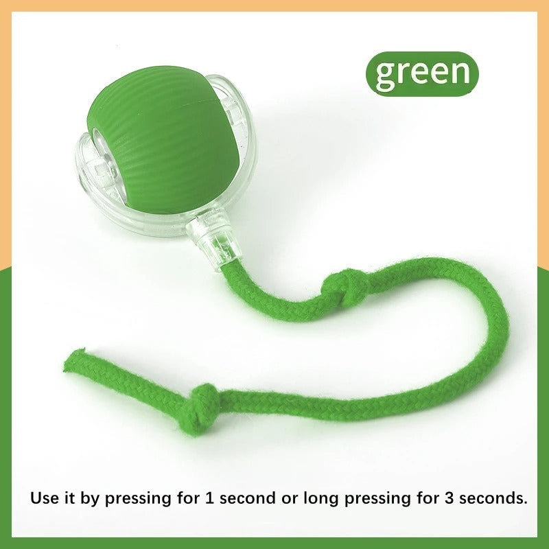 Smart Ball- Dog Toy