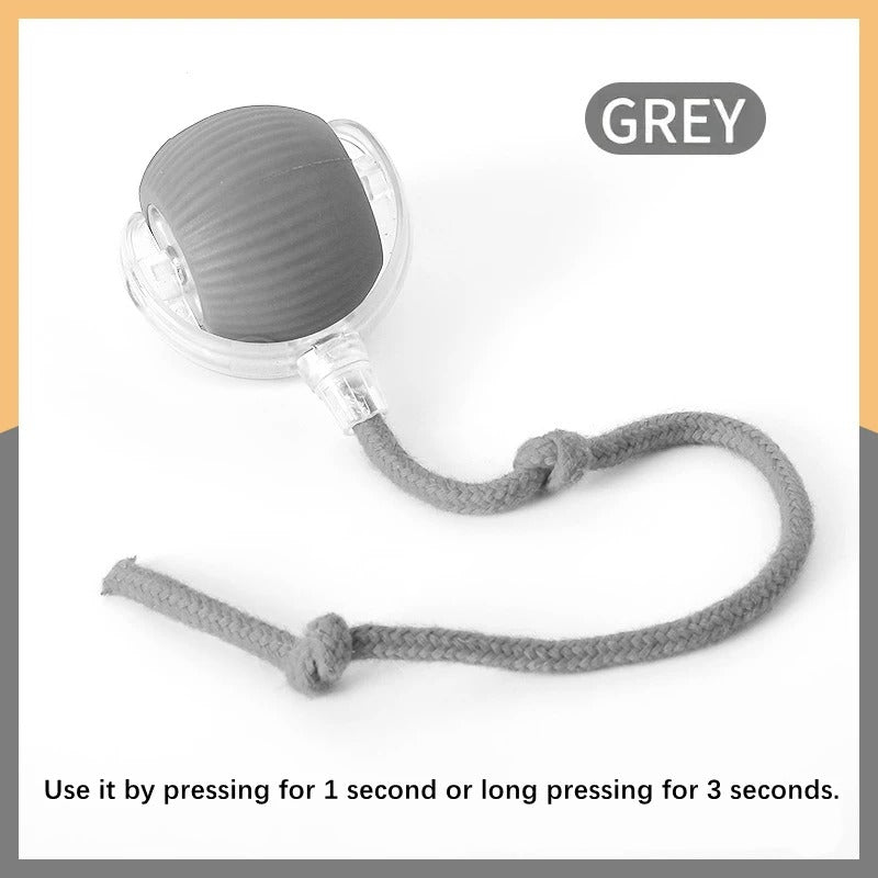 Smart Ball- Dog Toy