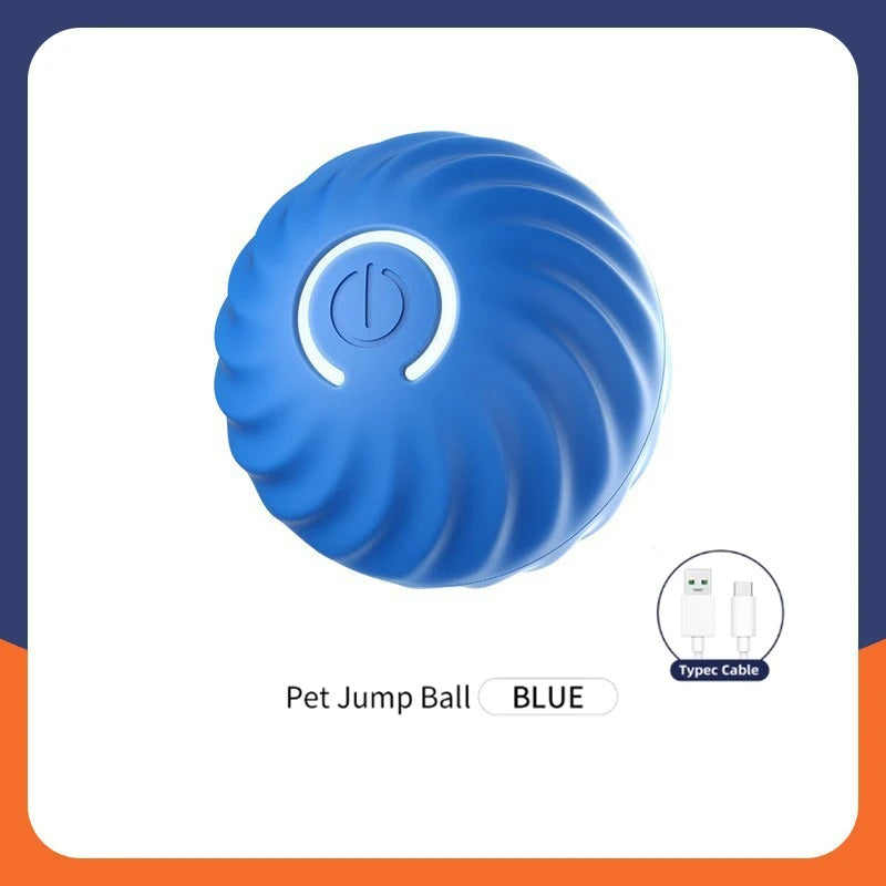 Smart Ball- Dog Toy