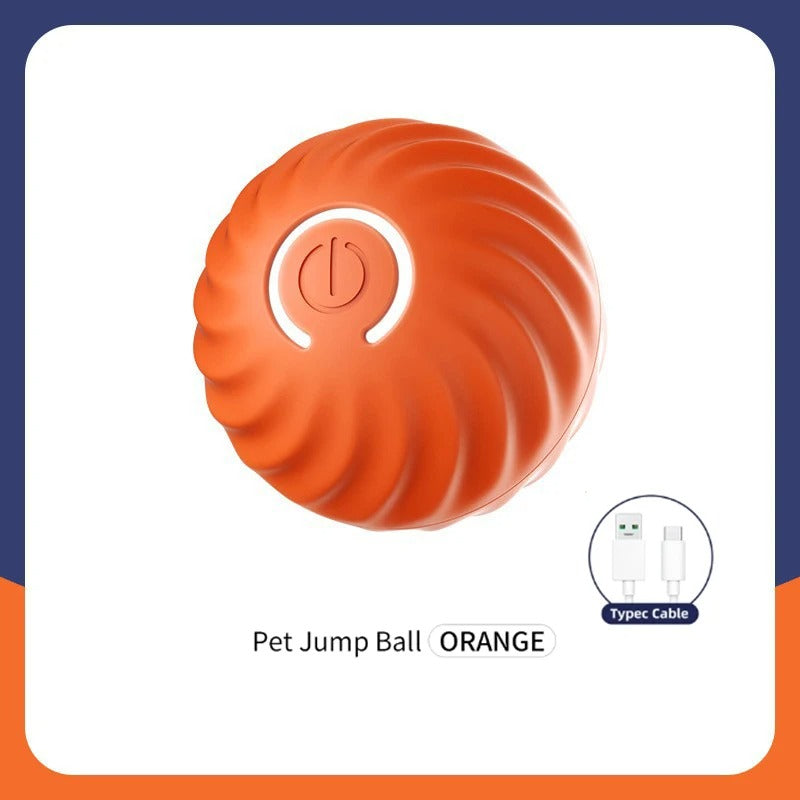 Smart Ball- Dog Toy